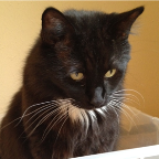 Greg's Mom Profile Picture